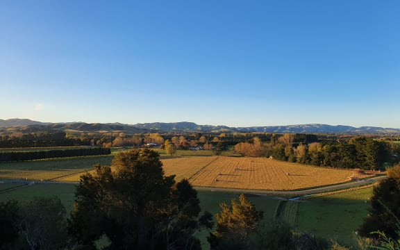 Wairarapa farm at sunrise