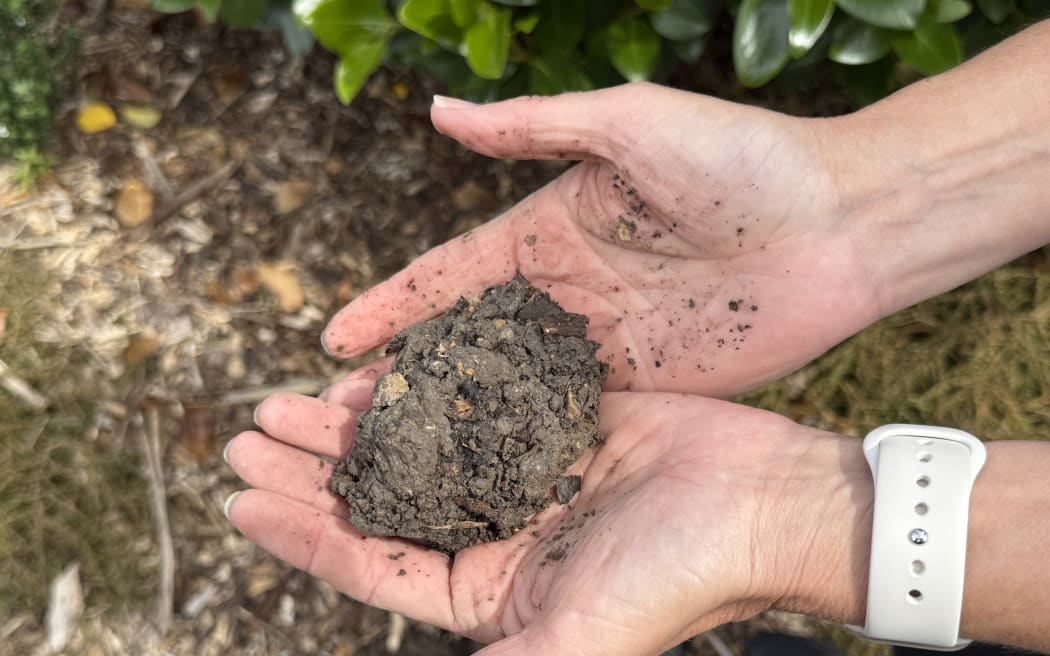 The soil found in new development areas has often been compacted so tightly that it's lost all its nutrients and sponge-like capacity to absorb water.