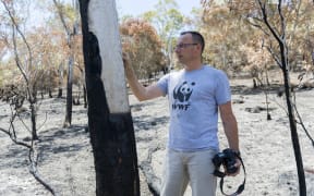 The WWF's Hubert Geraux surveys fire damage in 2015. Over 100 square kilometres have now been ravaged by fire in the past two months