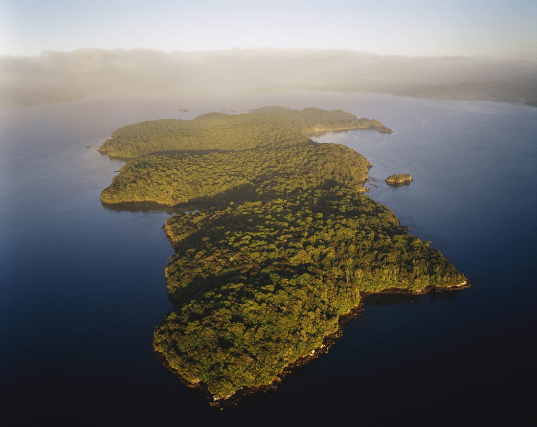 Stewart Island