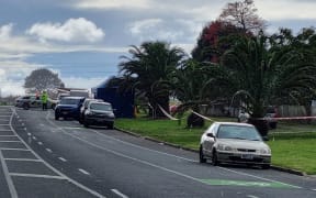 Peter Snell Road, Ruakākā.