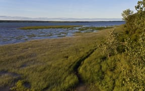Canada, Quebec province, Centre du Quebec region, the Navigators' Route, the ecological park of l'Anse du Port in Nicolet, along the St. Lawrence River (Lake Saint Pierre).