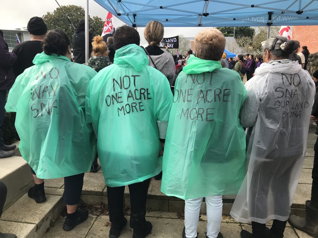 Pipiwai land owners an the hikoi call for a stop to SNAs,