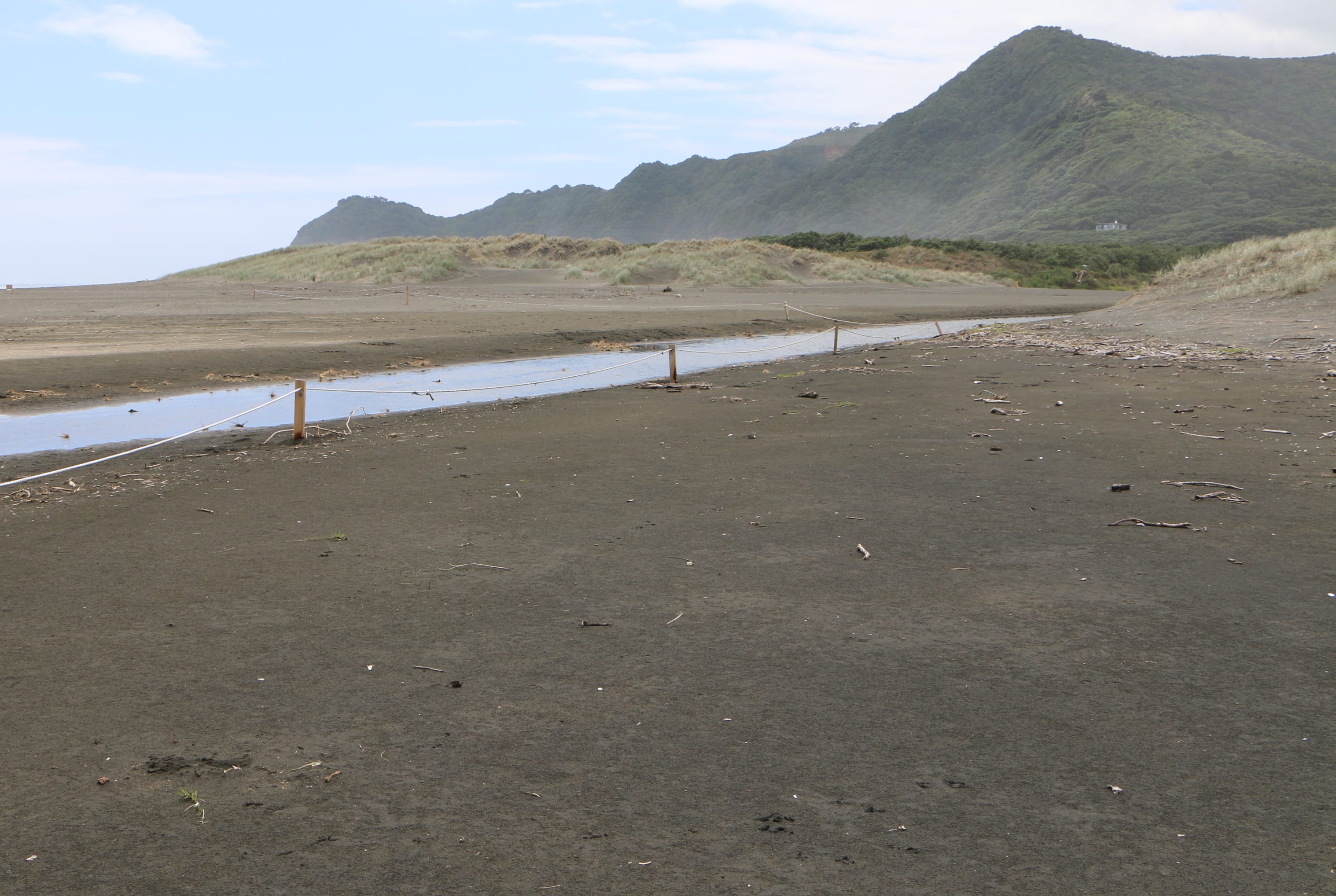 The dotterel nesting area at Piha.