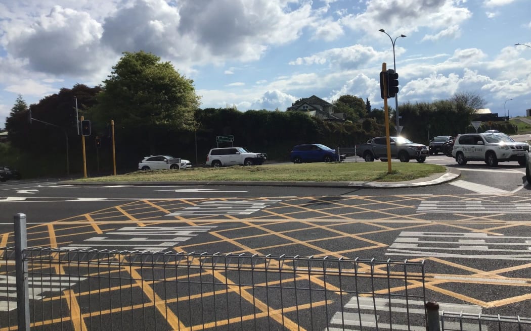 NZTA warns against DIY highway maintenance, after resident mows traffic ...