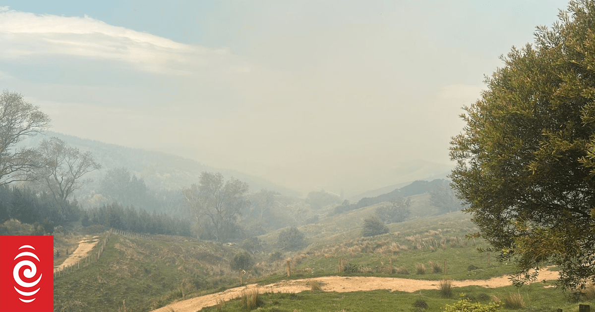 Helicopters halted as gales create problems for firefighters in lower North Island