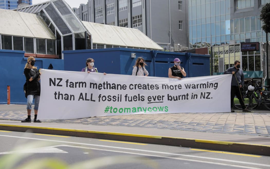 Environmentalists stage a counter-protest as members of Groundswell demonstration walk through central Wellington on 20 October 2022.