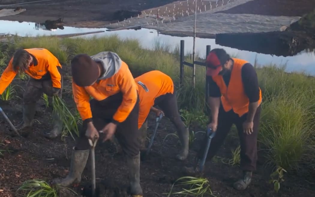 Workers for landscape company Rural Design hired through Ngā Puna Pūkenga.