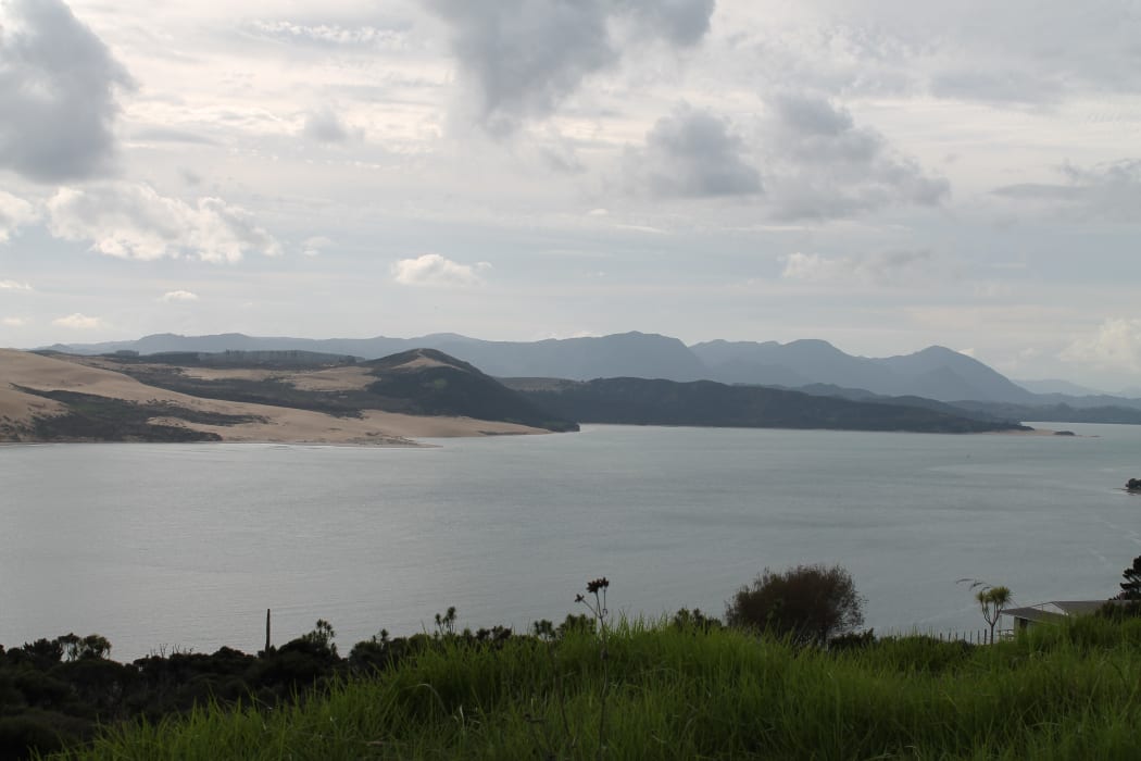 Hokianga Harbour