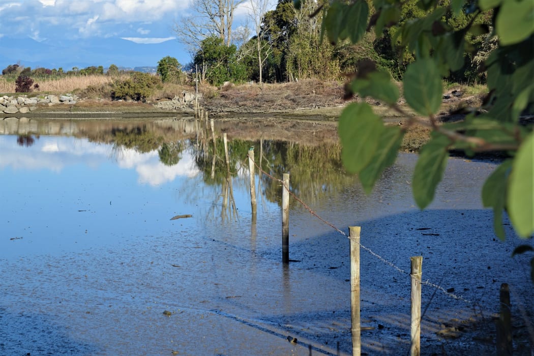 Rising tides in Tasman District know no bounds.