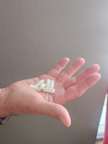 Liggins Institute researchers are developing probiotic pill in the hopes of replacing FMTs as treatment options.