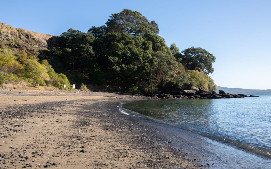 A wily stoat is on the loose on one of Auckland's pest free islands - Motukorea/Browns Island.

 

It was first detected back in March and despite dozens of traps and cameras being set up, it's so far proven elusive.