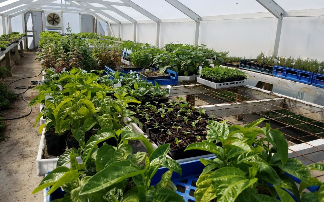 The property is currently used to grow vegetables, strawberries and seedlings commercially.