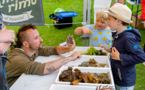 An adult and two children looking at different seaweed from a previous Love Rimurimu event.