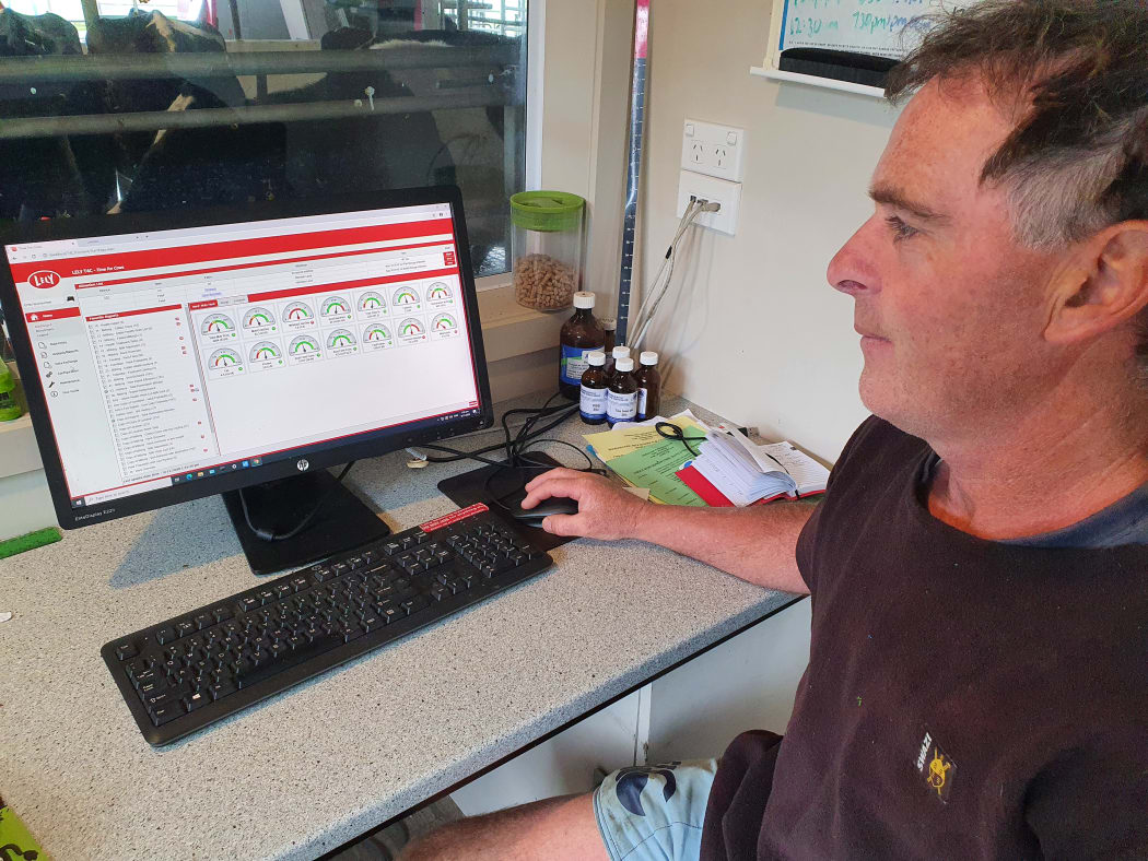 The robotic system transmits information on cow health and milk quality which Greg can read remotely or from his office at the dairy shed