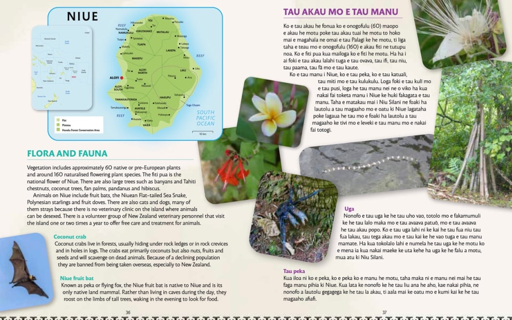 A snippet of what's inside Mele Nemaia's 'Moana Oceania: Niue'.