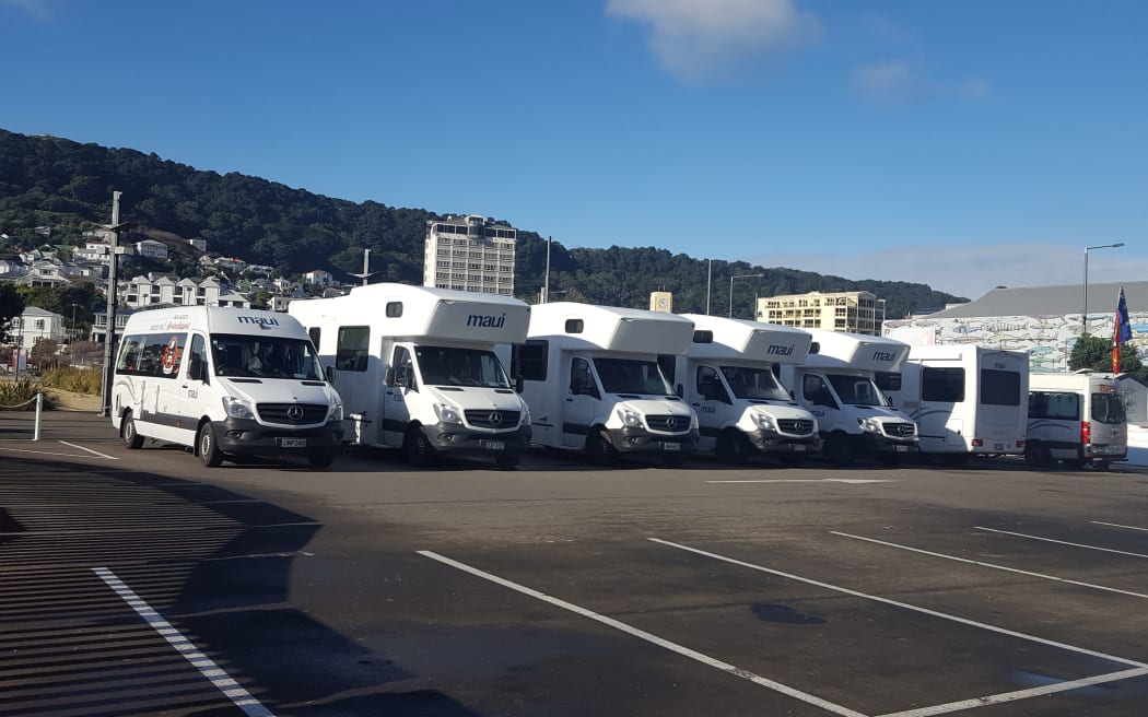 Lions fans had the parking arranged for them in the Barnett Street carpark for 24 hours through a tour package.