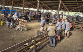 Farmers gather inside the woolshed for the sale.