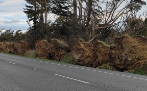 Damage from the storm.