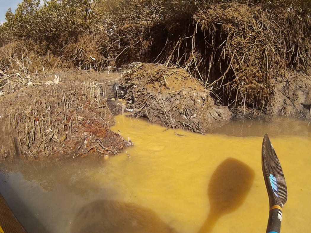Raw sewage trail in Henderson Creek.