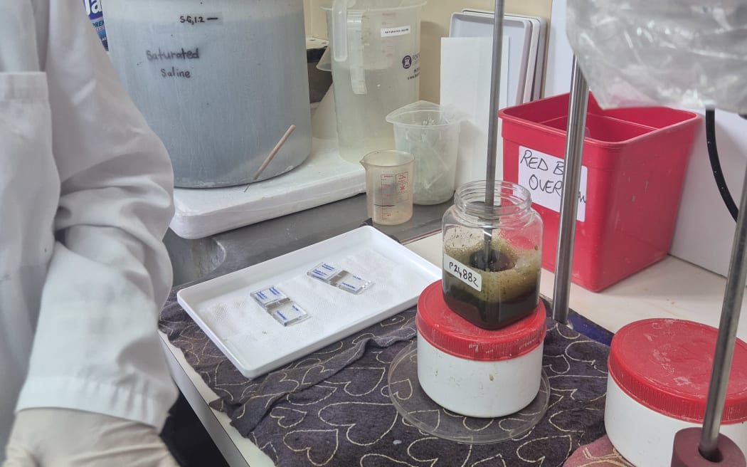 The 10 pieces are mixed with water to dilute them and create more even distribution of spores.