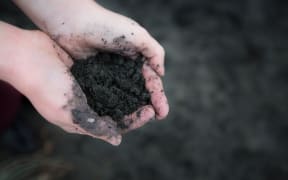 Hands holding black sand at Muriwai Beach