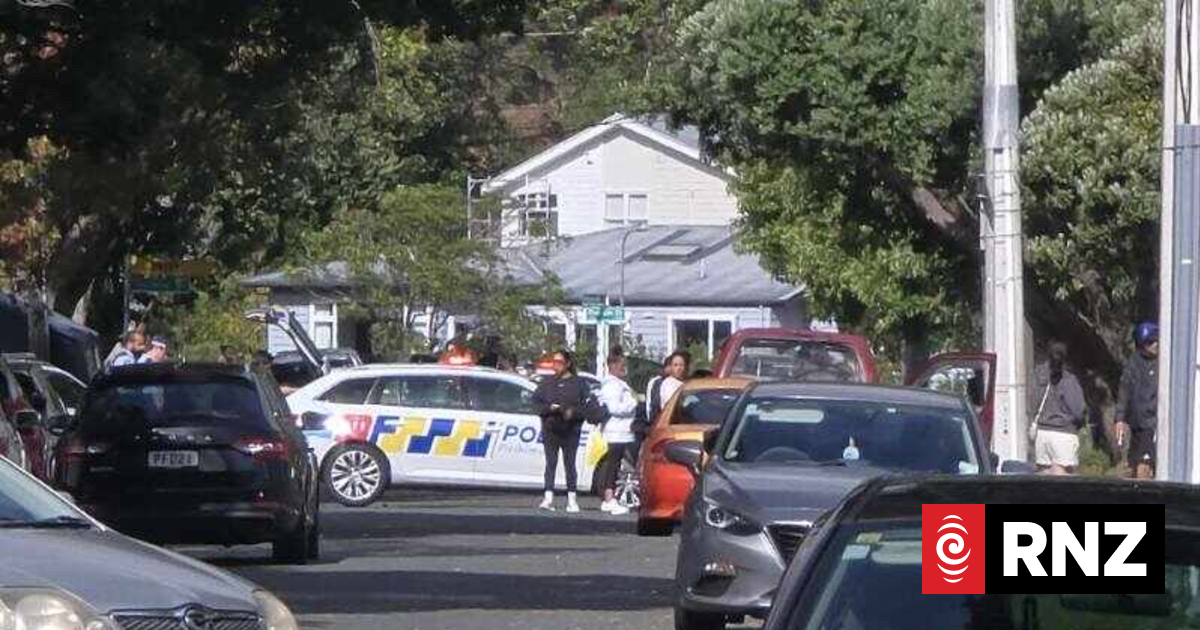 Lower Hutt residents say road closed as police swarm area