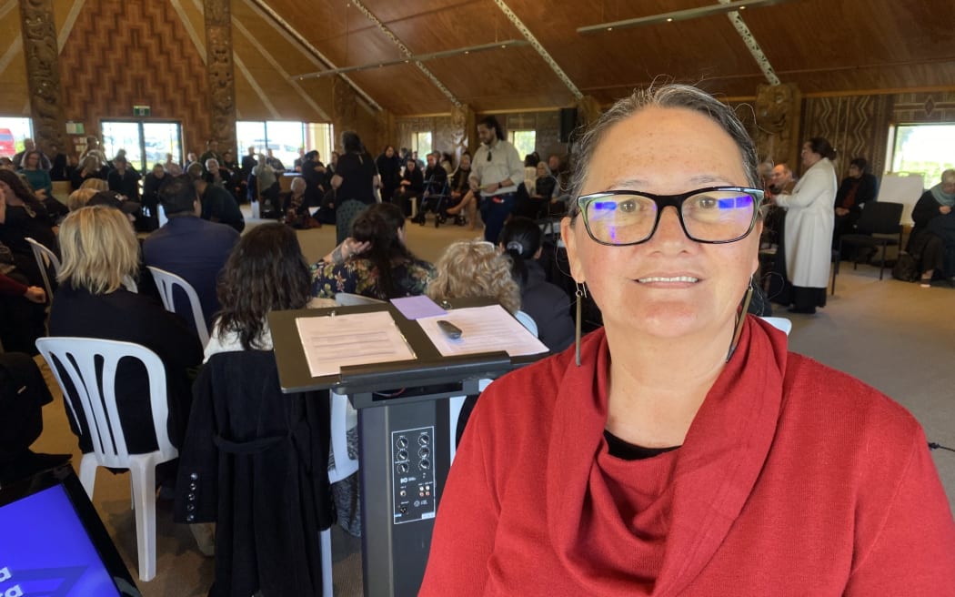 Linda Elgar says Iwi Māori Health Boards will have the mana to defend their work if National wins the election.