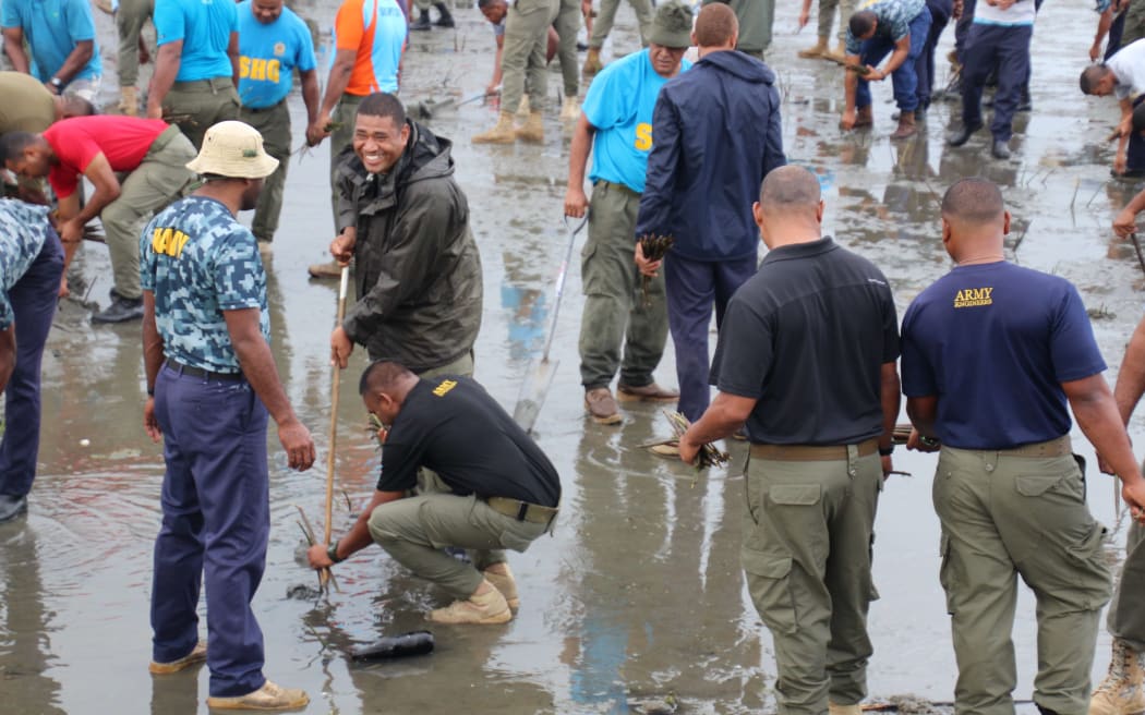Fiji soldiers planting mangroves