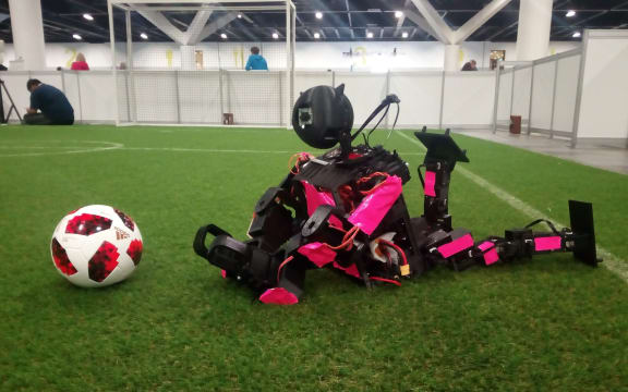 New Zealand's very own football playing robot.