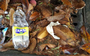 Plastic rubbish in the gutter of a Hamilton Street. From here it will wash into the nearby stormwater drain which leads directly to a local stream.