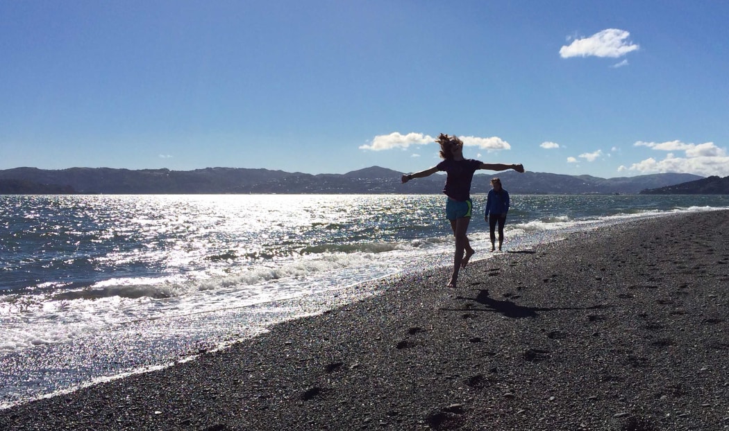 Beach-goers enjoy the sunshine at Eastbourne in Wellington.