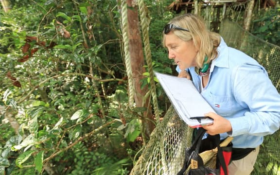 Meg Lowman - An abornaut's life