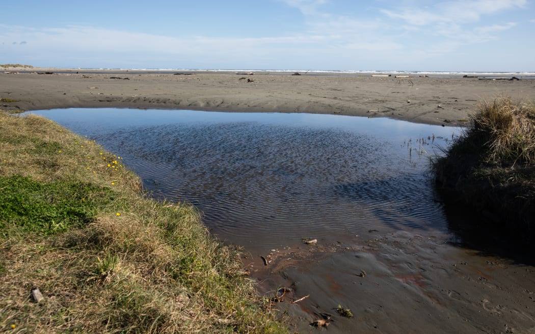 The pond at Hokio beach where Mikey Tamatea's body was found