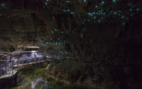 Waitomo Caves