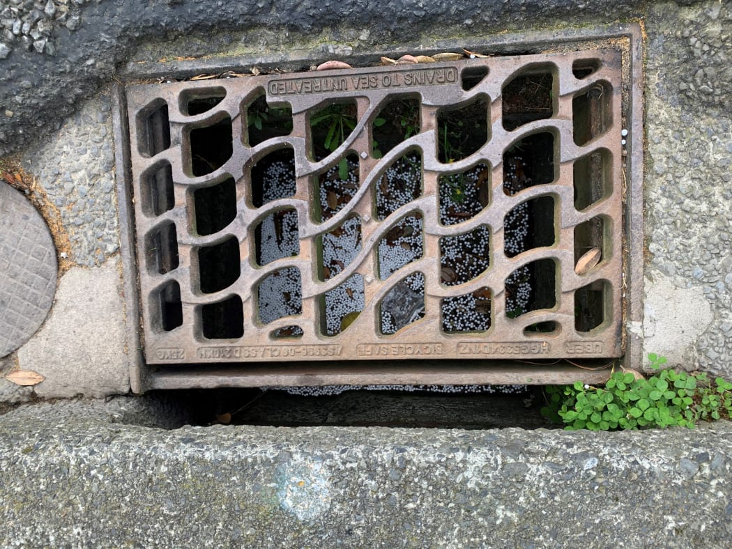Polystyrene balls in a drain in Owhiro Bay.