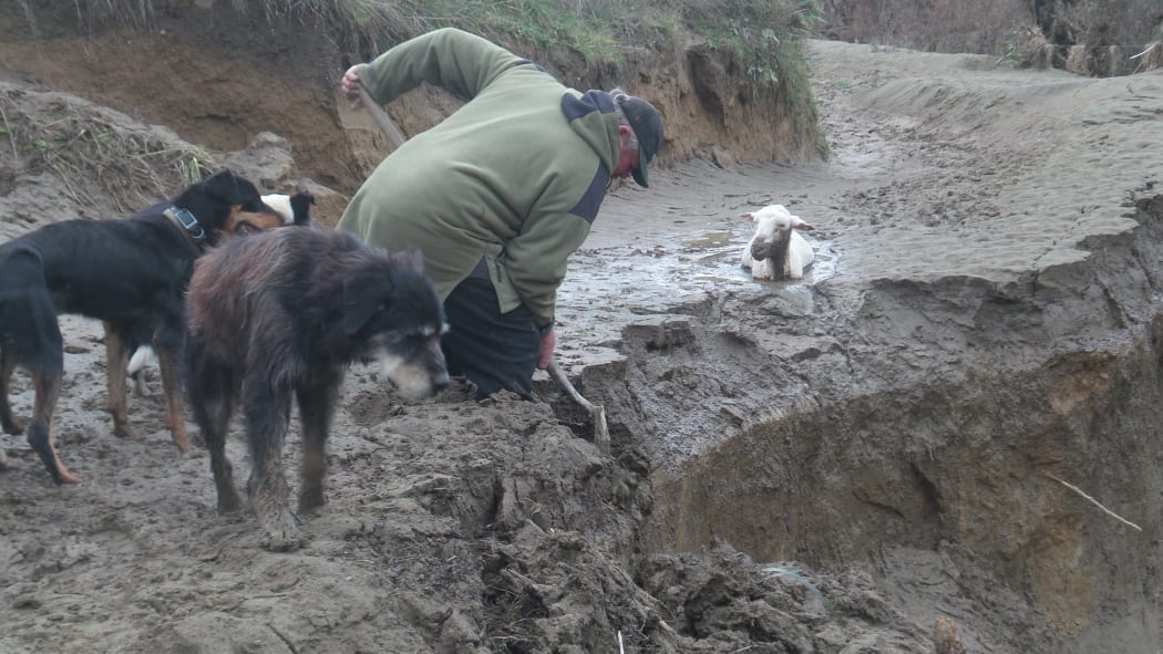 John McBride digging silt left by floods in late June.