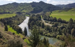 The upper Whanganui River