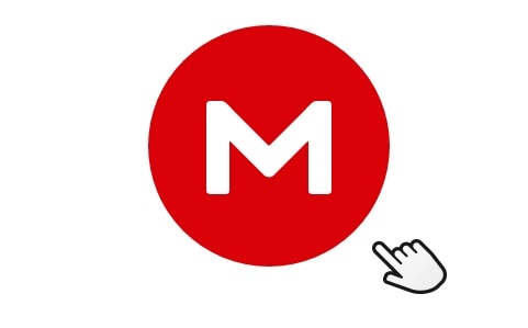 Cloud storage website Mega.