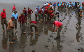 Fiji soldiers planting mangroves