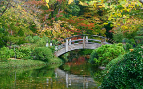 Moon bridge, Japanese garden