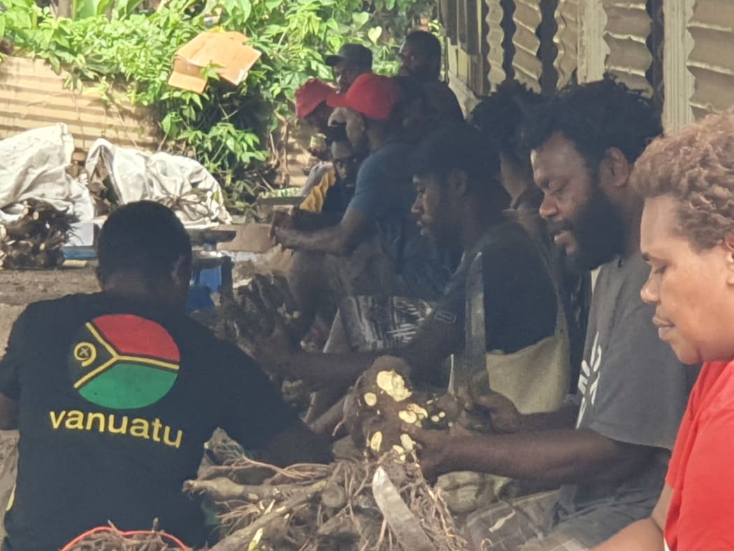 Kava sellers in Port Vila n infarmers