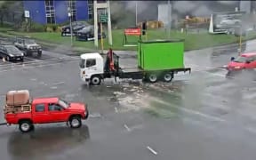 Fish in Christchurch