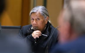 MP for Te Tai Tokerau, Mariameno Kapa-Kingi in Social Services and Community Committee hearings during Scrutiny Week.