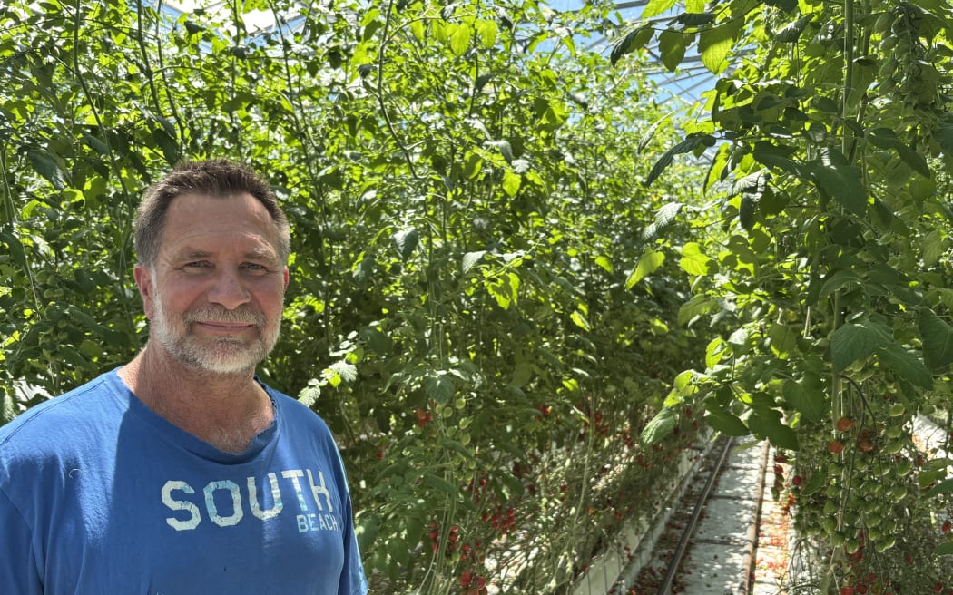 A shoulder and head portrait shot of Pete Mundy in front of two rows of tomato plants. Pete is wearing a blue 'South Beach' t-shirt and smiling.