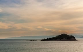 Tuamotu Island, Gisborne