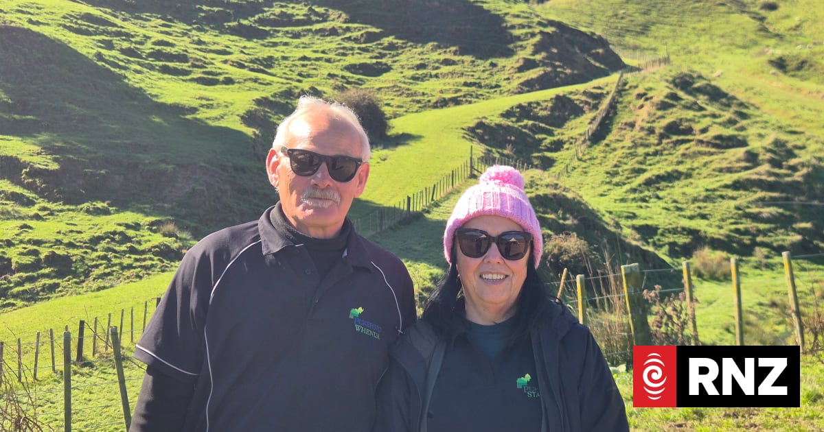Country Life: 'Looking for an edge' on a Māori-owned farm