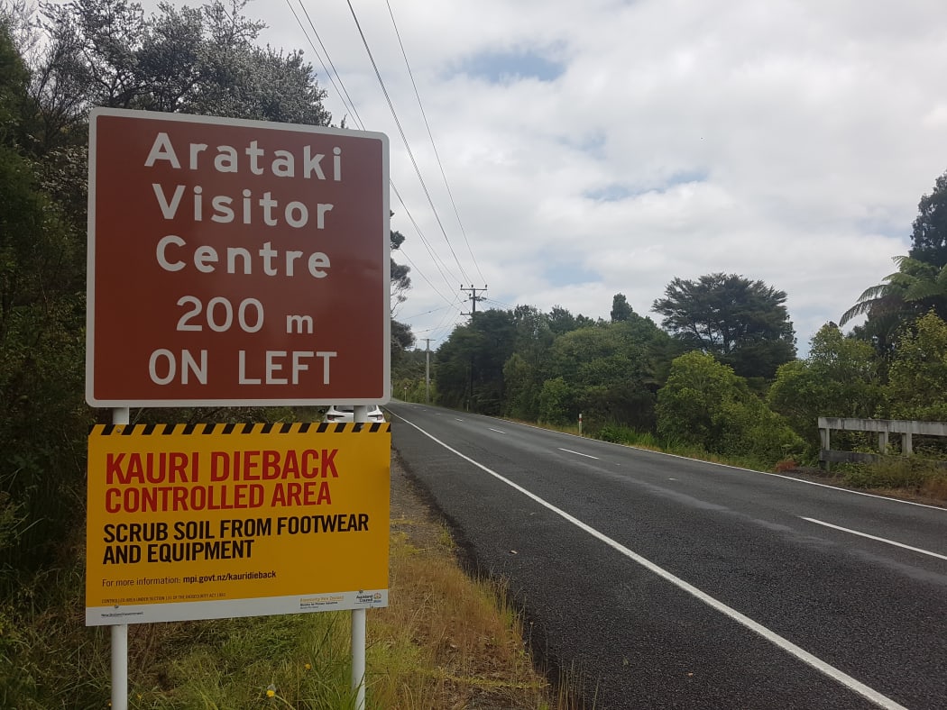 Signage of kauri dieback controlled area near Arataki Visitor Centre.