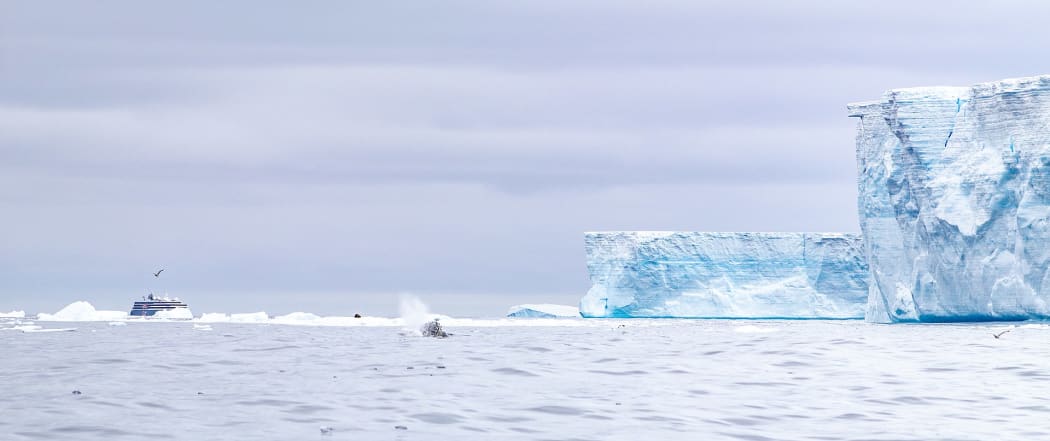 A ship and a humpback whale near to the edge of A68a, the world's biggest iceberg, in March 2020.