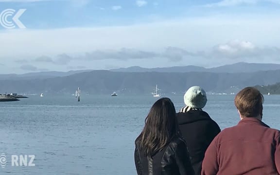 Fireworks display may be cancelled is whale stays put